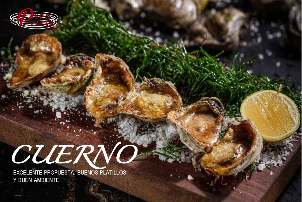 RESTAURANTE 1 (1)