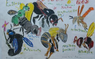 Celebra Agricultura Concurso de dibujo infantil “Las abejas y su entorno”