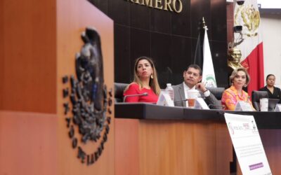 Respetar derechos de mujeres no es dádiva: Armenta