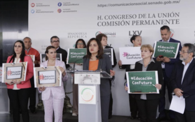 Libros de Texto realizados en la clandestinidad y sin apoyo de expertos: Ana Lilia Herrera