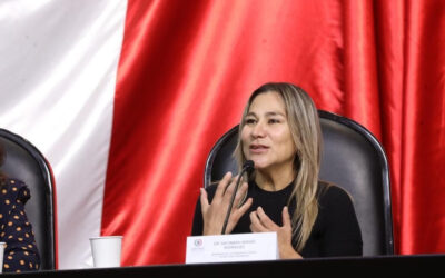 Nuevos libros de texto gratuitos, alejados de la realidad: diputada priista 