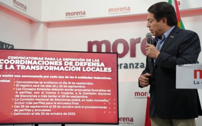 Listos para elegir a los coordinadores de defensa locales: Mario Delgado