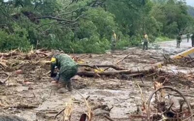 Urge Senado a brindar apoyo inmediato a Guerrero por paso de Otis
