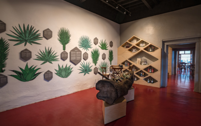 Archivo de mezcal más grande del mundo abre sus puertas en Oaxaca