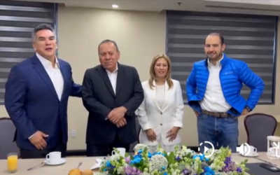 Senadora Lucy Meza de Morena se suma al Frente Amplio por Mexico