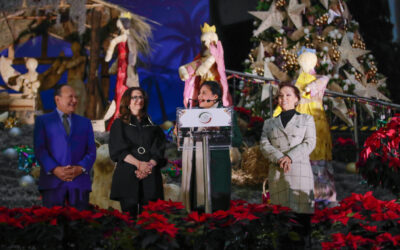 Encienden árbol navideño del Senado de la República 