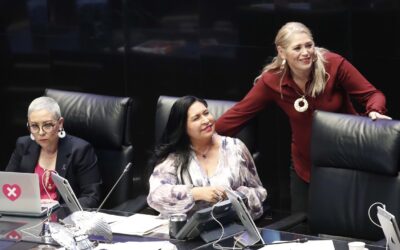 Llaman desde el Senado a reivindicar derechos humanos de las mujeres