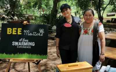 Bee Matters apoya a mujeres mayas a salvaguardar abejas en Yucatán