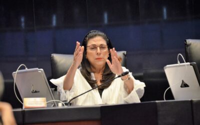 México necesita real transición hacia energías limpias: Marcela Guerra