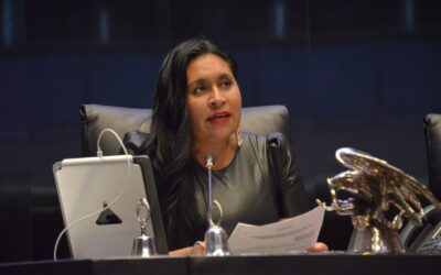 México hoy es emblema de unidad y paz en el mundo: Ana Lilia Rivera