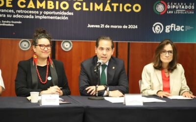 Plantea el Verde multa doble por robo de productos de energía limpia