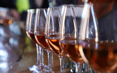 Celebra Tinto Bajío 9a edición con nueve casas vinícolas de Guanajuato