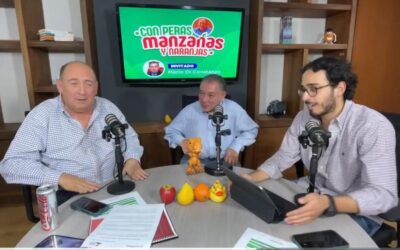 Aterra a inversionistas que Morena no tenga contrapesos en Congreso: Moreira