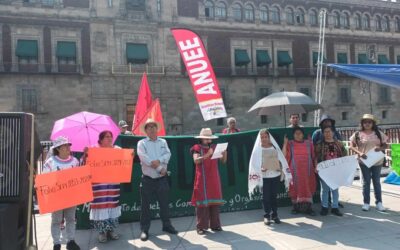 Se plantan indígenas en el Zócalo para exigir vivienda