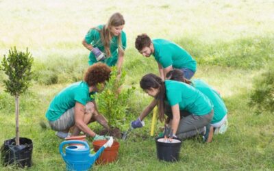 Solicitan programas de reforestación en espacios escolares y recreativos