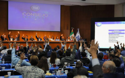 Aprueba PAN comisiones especiales que definirán el rumbo del partido