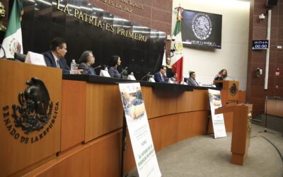 Reflexionan en Senado sobre el futuro de energía en México