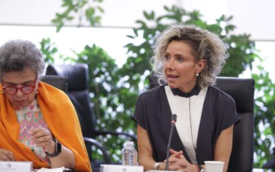 Pide el Verde en Senado promover mayor participacion ciudadana