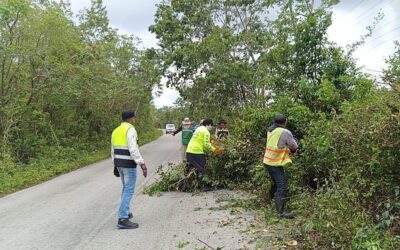 Trabajan en afectaciones en carreteras de seis estados por lluvias