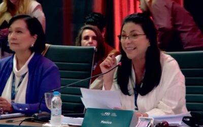 Necesaria la paridad e igualdad en cada uno de los cargos : Guerra Castillo