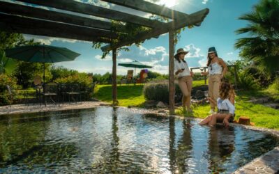 Viñedos San Juanito, ganador de los Travellers’ Choice Awards 2024 de Tripadvisor