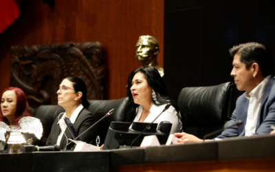 Senado, pieza fundamental del engranaje democrático del país: Ana Liia Rivera