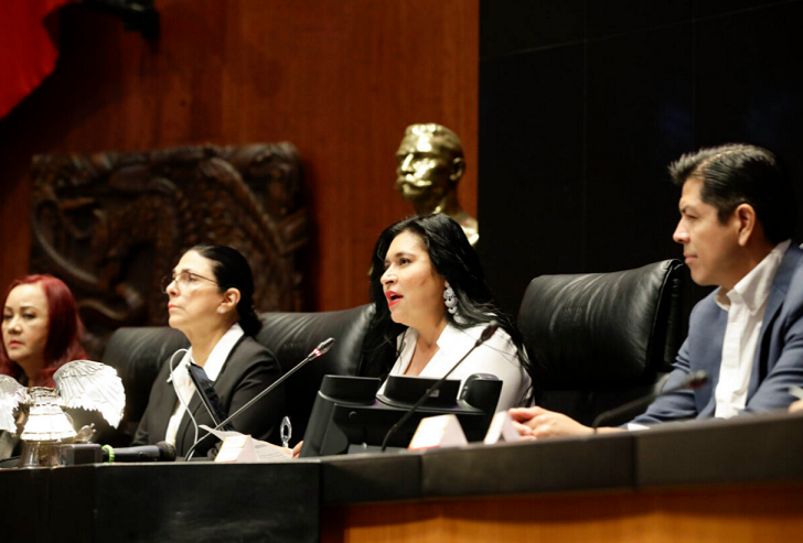 Senado, pieza fundamental del engranaje democrático del país: Ana Liia Rivera