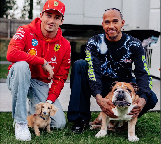 Día del Perro: las mascotas de Formula 1