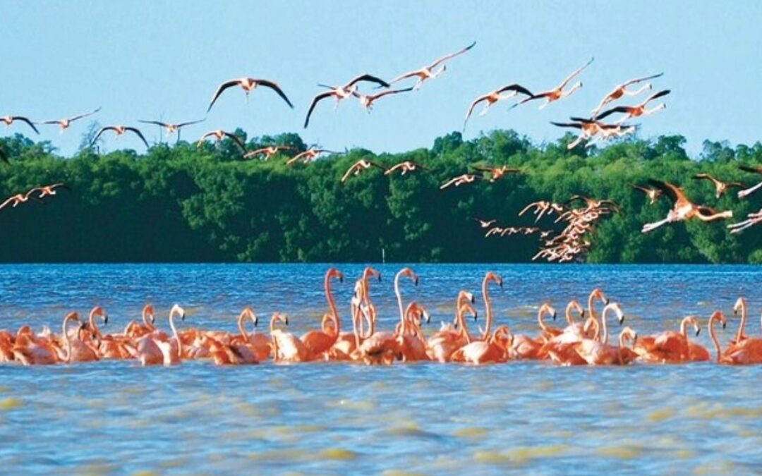 Yucatán se encuentra listo para el turismo después de Beryl
