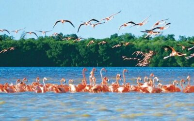 Yucatán se encuentra listo para el turismo después de Beryl