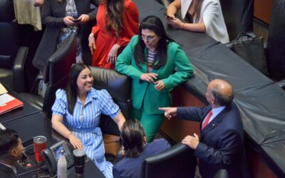 Pide la Permanente a Economía fortalecer programas de apoyo para emprendedoras