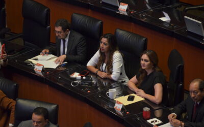 Pide Permanente a autoridades garantizar trato digno a los animales