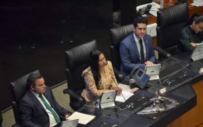 Fortalecer recepción de equipaje en transporte aéreo: Permanente