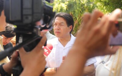 En unidad, Congreso Nacional de MORENA definirá su presidencia: Delgado