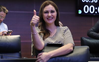 Garantizar seguridad de usuarios de plataformas digitales de hospedaje: PT