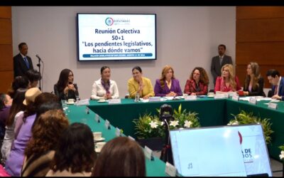 Fundamental ingresos para reformas que necesitan las mujeres: Marcela Guerra