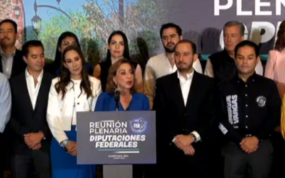 Designa PAN a Guadalupe Murguía como su coordinadora en el Senado