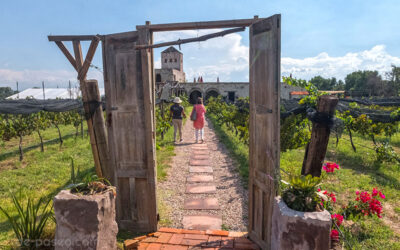 Se realizará en Querétaro el Congreso Holístico “Luz y sombra”