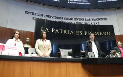 Analiza Senado reforma constitucional sobre sistema ferroviario  