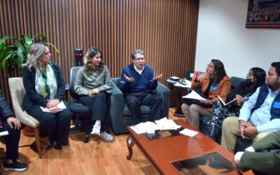 Impugnaciones contra reformas a la Constitución, seguirá el trámite legislativo: Monreal