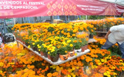 Llega Festival de las Flores de Cempasúchil en Paseo de la Reforma
