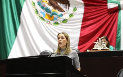 Llama diputada priista a Salud detener propagación del dengue