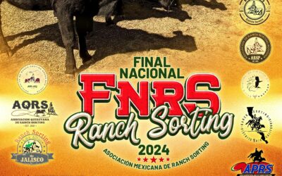 Santa Vid se prepara para ser sede de Gran Final Nacional de Ranch Sorting