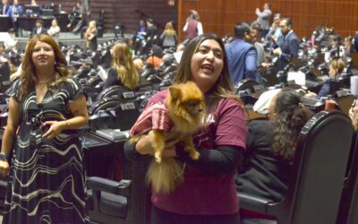 Diputad@s respaldan elevar a rango constitucional cuidado y protección animal