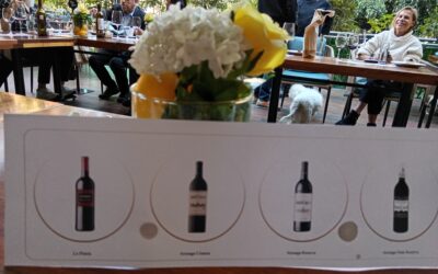 Joyas vinícolas, así son los vinos de las bodegas Arzuaga Navarro