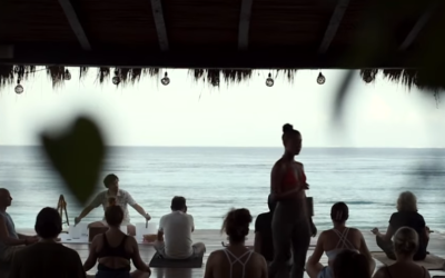 Hoteles BF el grupo hotelero mexicano líder en turismo regenerativo