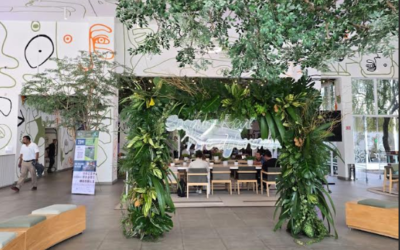 Bosque Real cierra con éxito su festival de bienestar y sostenibilidad