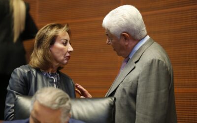 El paquete económico 2025 está fuera de la realidad: GPPAN