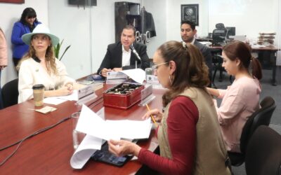 En Comisiones avalan proceso para elegir titular del Órgano Interno del INE
