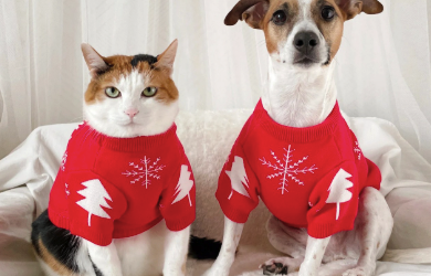 Navidad es un momento para compartir con las mascotas